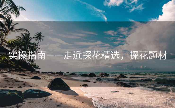 实操指南——走近探花精选，探花题材  第1张