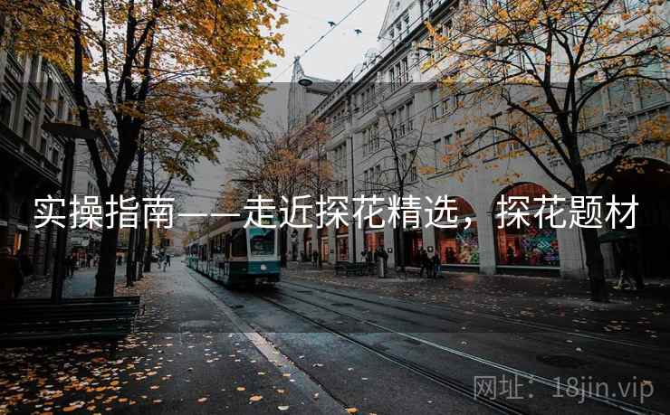 实操指南——走近探花精选，探花题材  第2张