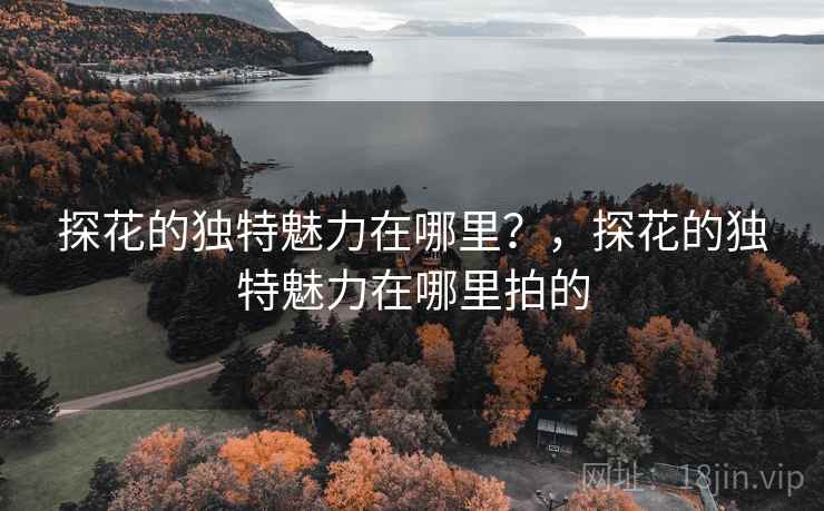 探花的独特魅力在哪里？，探花的独特魅力在哪里拍的  第2张
