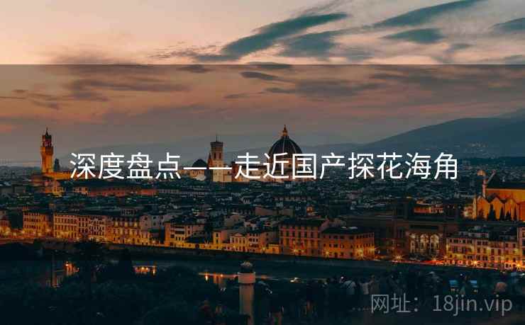 深度盘点——走近国产探花海角  第1张