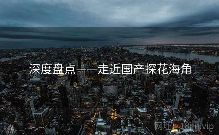 深度盘点——走近国产探花海角  第2张