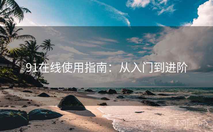 91在线使用指南：从入门到进阶  第2张