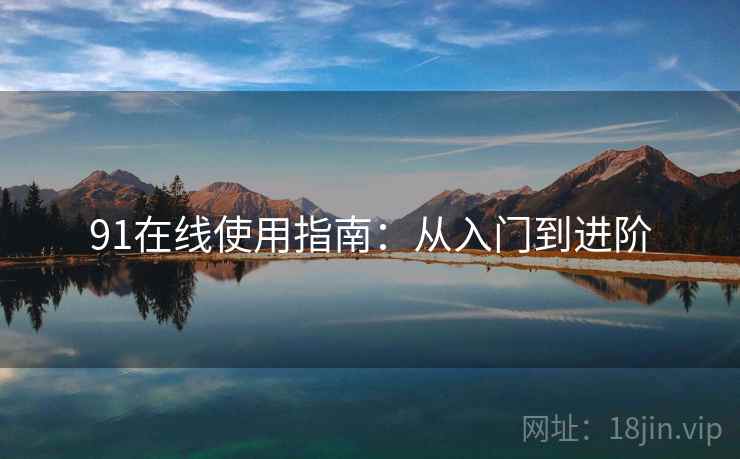 91在线使用指南：从入门到进阶  第1张