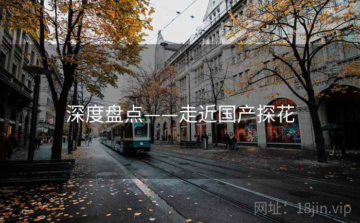 深度盘点——走近国产探花  第1张