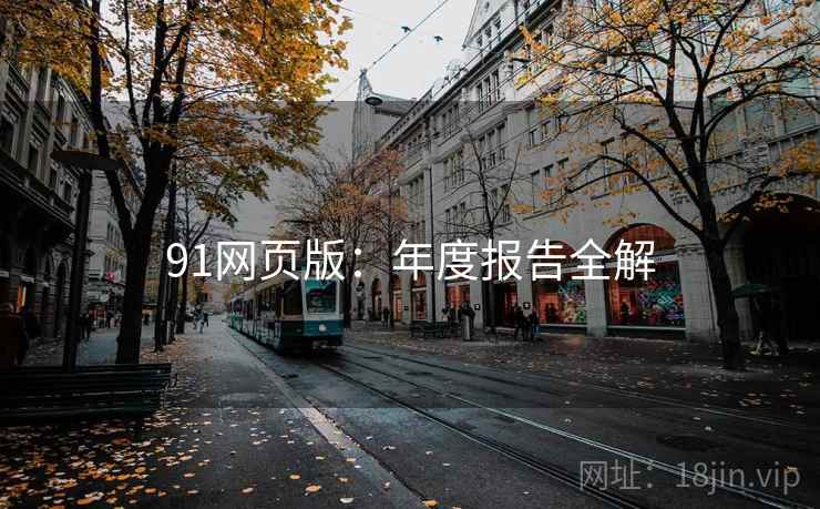 91网页版：年度报告全解  第1张