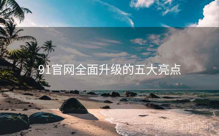 91官网全面升级的五大亮点  第1张