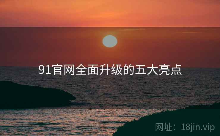 91官网全面升级的五大亮点  第2张