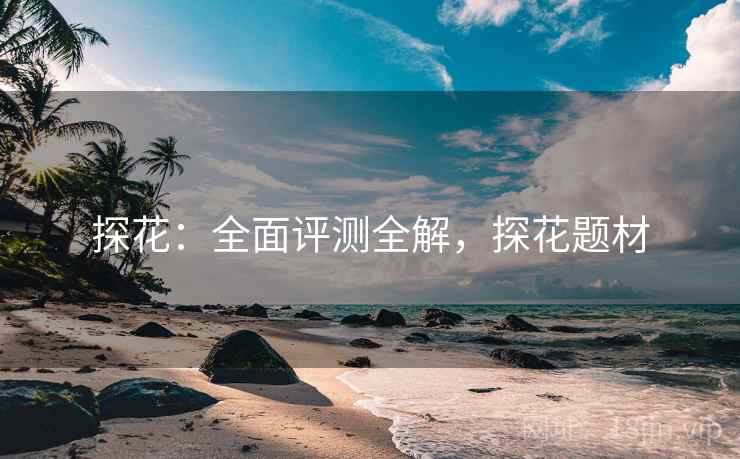 探花：全面评测全解，探花题材  第2张