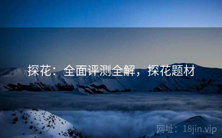 探花：全面评测全解，探花题材  第1张