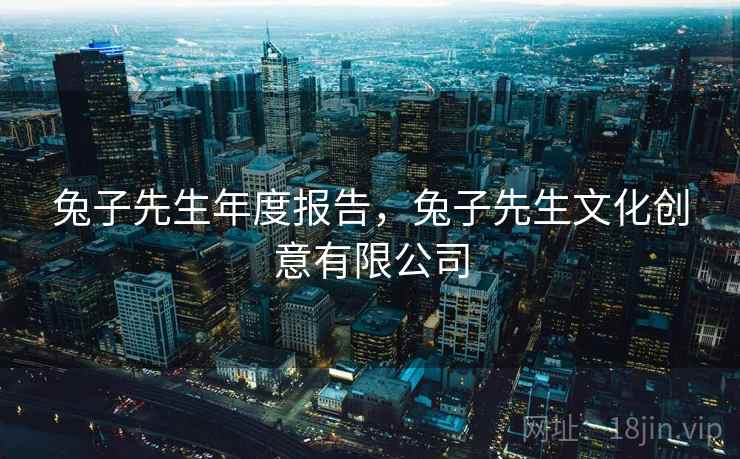 兔子先生年度报告，兔子先生文化创意有限公司