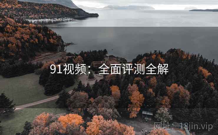 91视频：全面评测全解