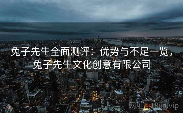 兔子先生全面测评：优势与不足一览，兔子先生文化创意有限公司  第2张