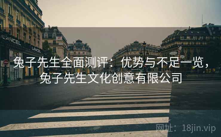 兔子先生全面测评：优势与不足一览，兔子先生文化创意有限公司  第1张