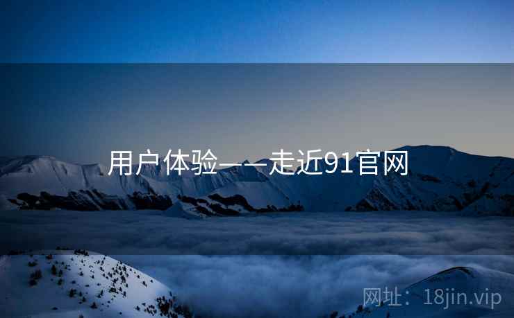 用户体验——走近91官网  第1张