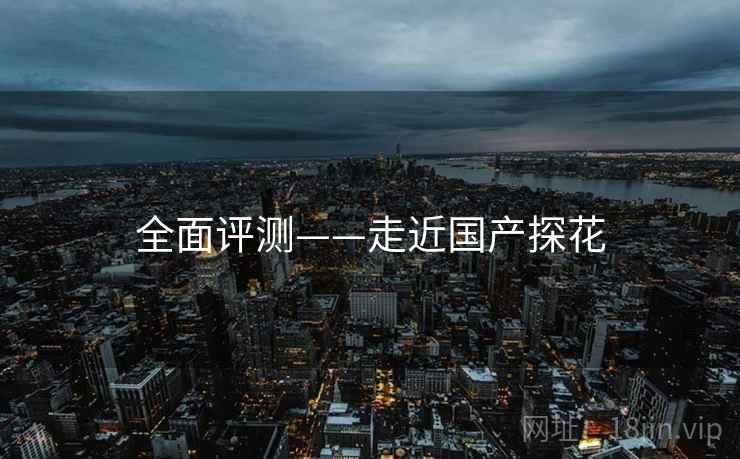 全面评测——走近国产探花  第1张