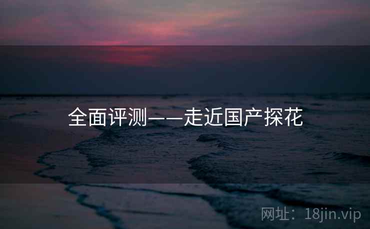 全面评测——走近国产探花  第2张