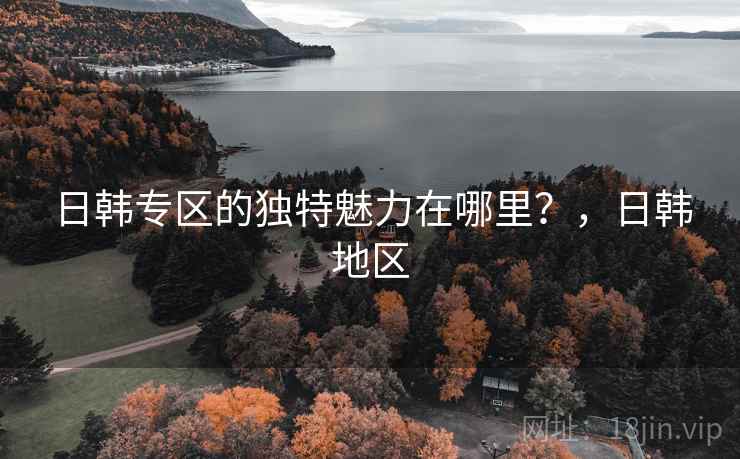 日韩专区的独特魅力在哪里？，日韩地区  第1张