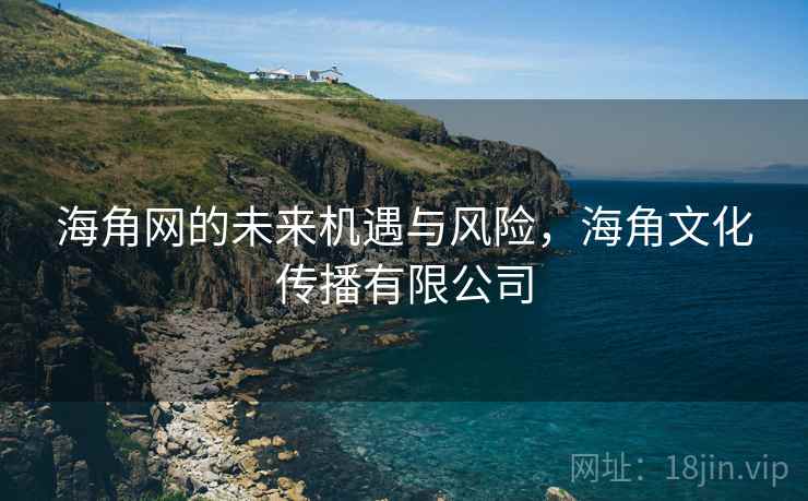 海角网的未来机遇与风险，海角文化传播有限公司  第2张