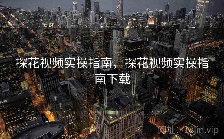 探花视频实操指南，探花视频实操指南下载  第2张