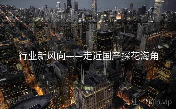行业新风向——走近国产探花海角  第2张