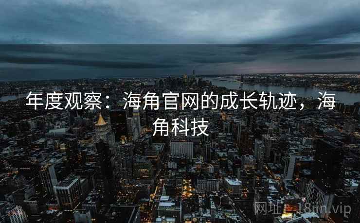年度观察：海角官网的成长轨迹，海角科技  第2张
