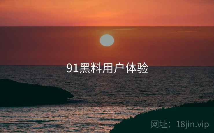 91黑料用户体验  第1张