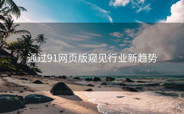 通过91网页版窥见行业新趋势  第2张