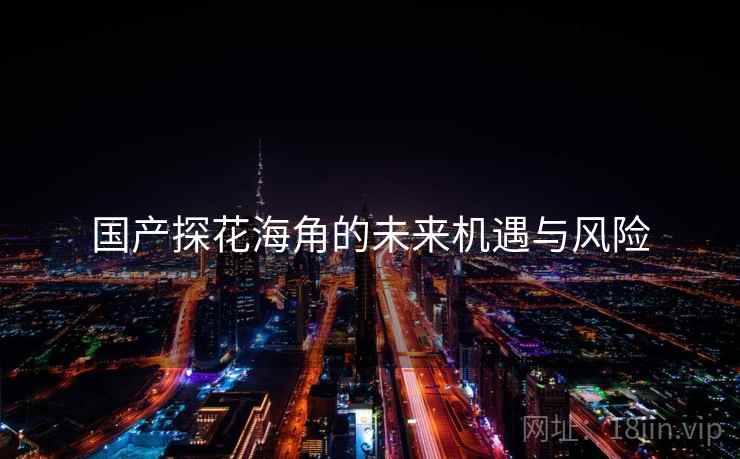 国产探花海角的未来机遇与风险  第2张