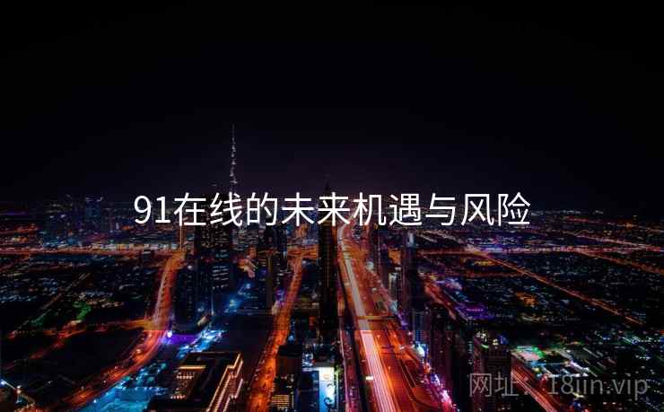 91在线的未来机遇与风险  第2张