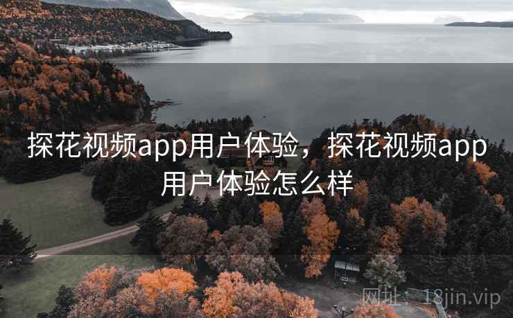 探花视频app用户体验,探花视频app用户体验怎么样 第2张 探花视频app用户体验,探花视频app用户体验怎么样 第2张