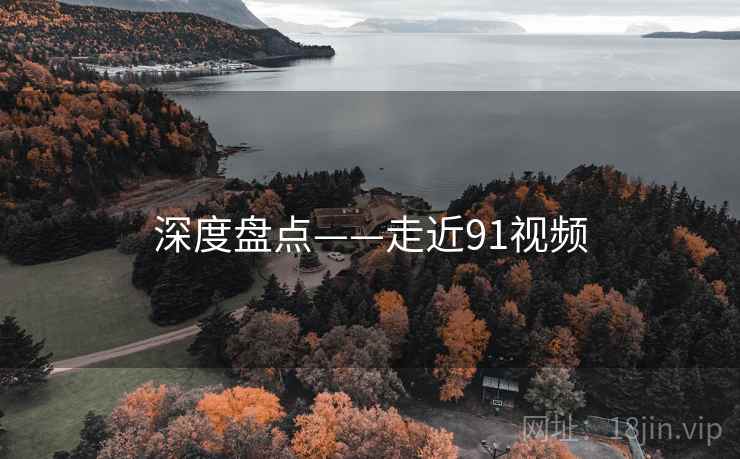 深度盘点——走近91视频  第2张