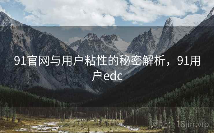 91官网与用户粘性的秘密解析,91用户edc 第2张 91官网与用户粘性的秘密解析,91用户edc 第2张