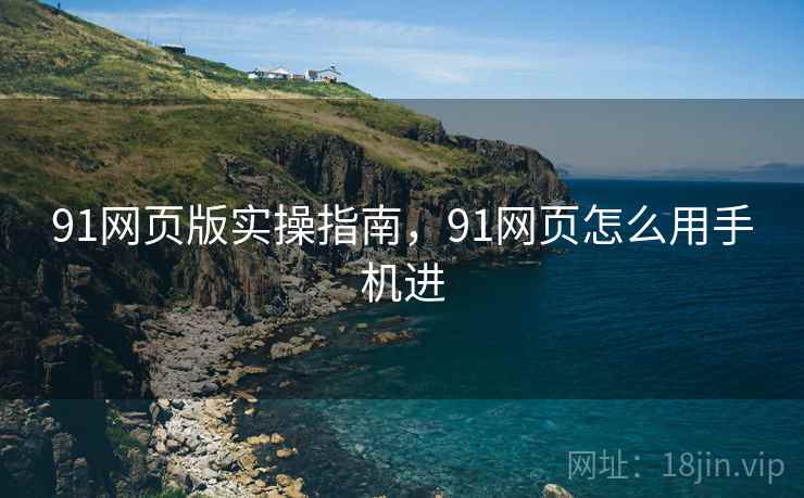 91网页版实操指南，91网页怎么用手机进  第1张