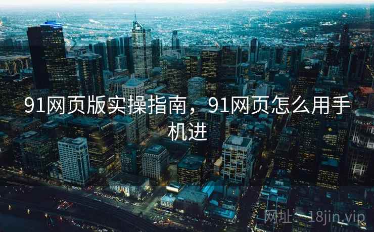 91网页版实操指南，91网页怎么用手机进  第2张