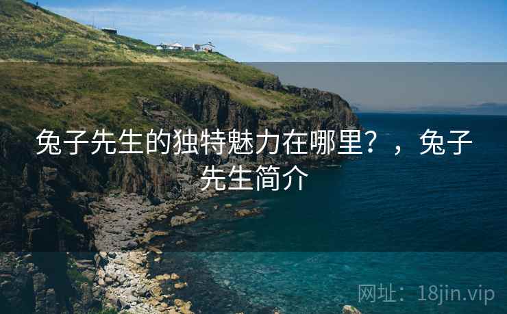 兔子先生的独特魅力在哪里？，兔子先生简介  第1张