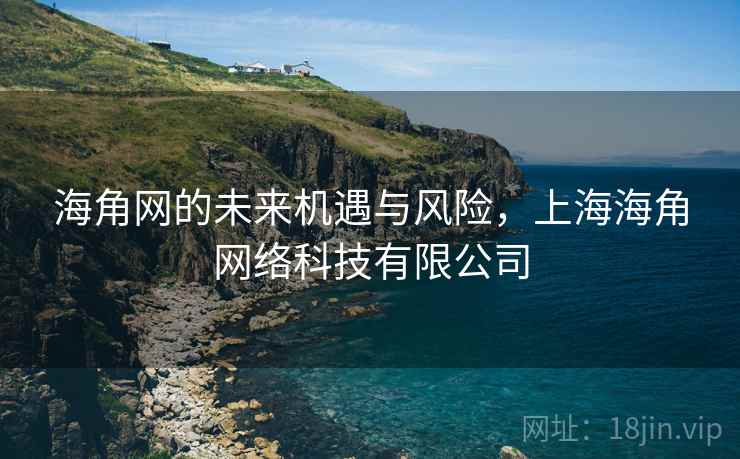 海角网的未来机遇与风险，上海海角网络科技有限公司  第2张