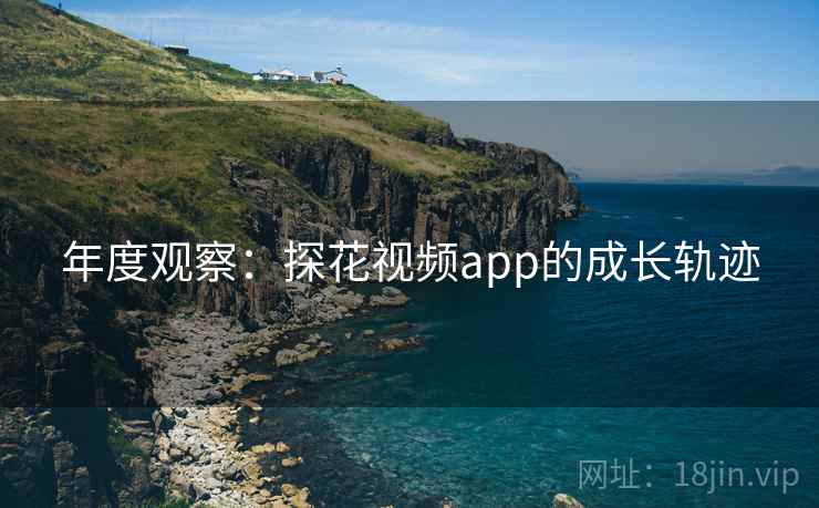 年度观察：探花视频app的成长轨迹  第2张